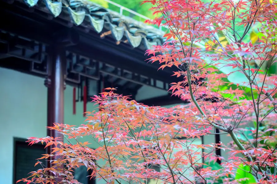 瞻園・太平天国歴史博物館