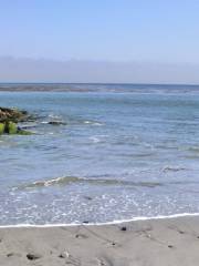 Capitola Beach