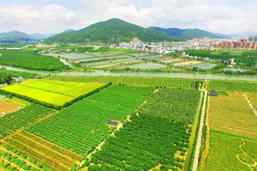 Xujing Agricultural Park