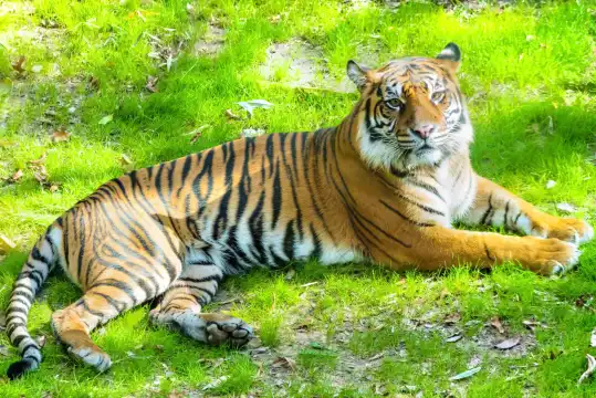 Hotels near Dallas Zoo