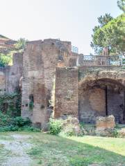 Roman Insula
