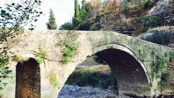 Old Ribnica River Bridge
