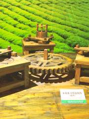 貴州茶文化生態博物館