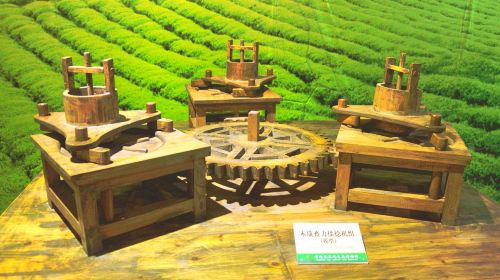 Guizhou Tea Culture Ecological Museum