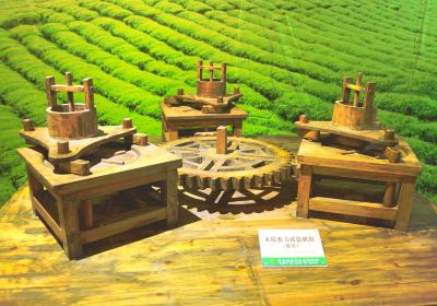 Guizhou Tea Culture Ecological Museum