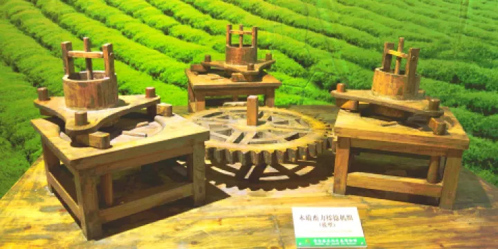 貴州茶文化生態博物館