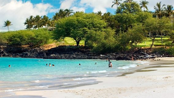 Hawaï, la Grande Île