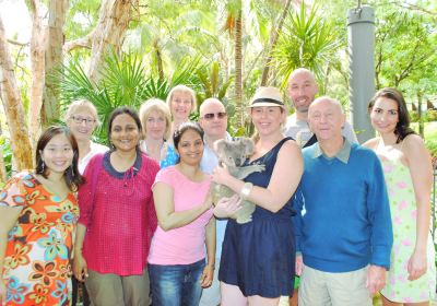 Hamilton Island Wildlife