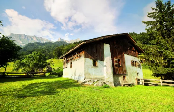 達沃斯湖+蒙施泰因+魔山+木偶和玩具博物館+海蒂小屋