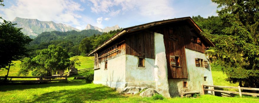 Heidi's House