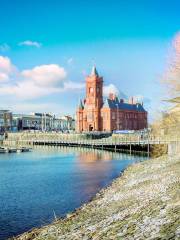 Cardiff Bay