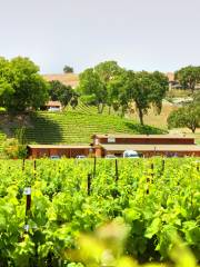 Santa Ynez Valley