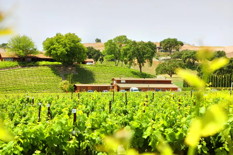 Santa Ynez Valley