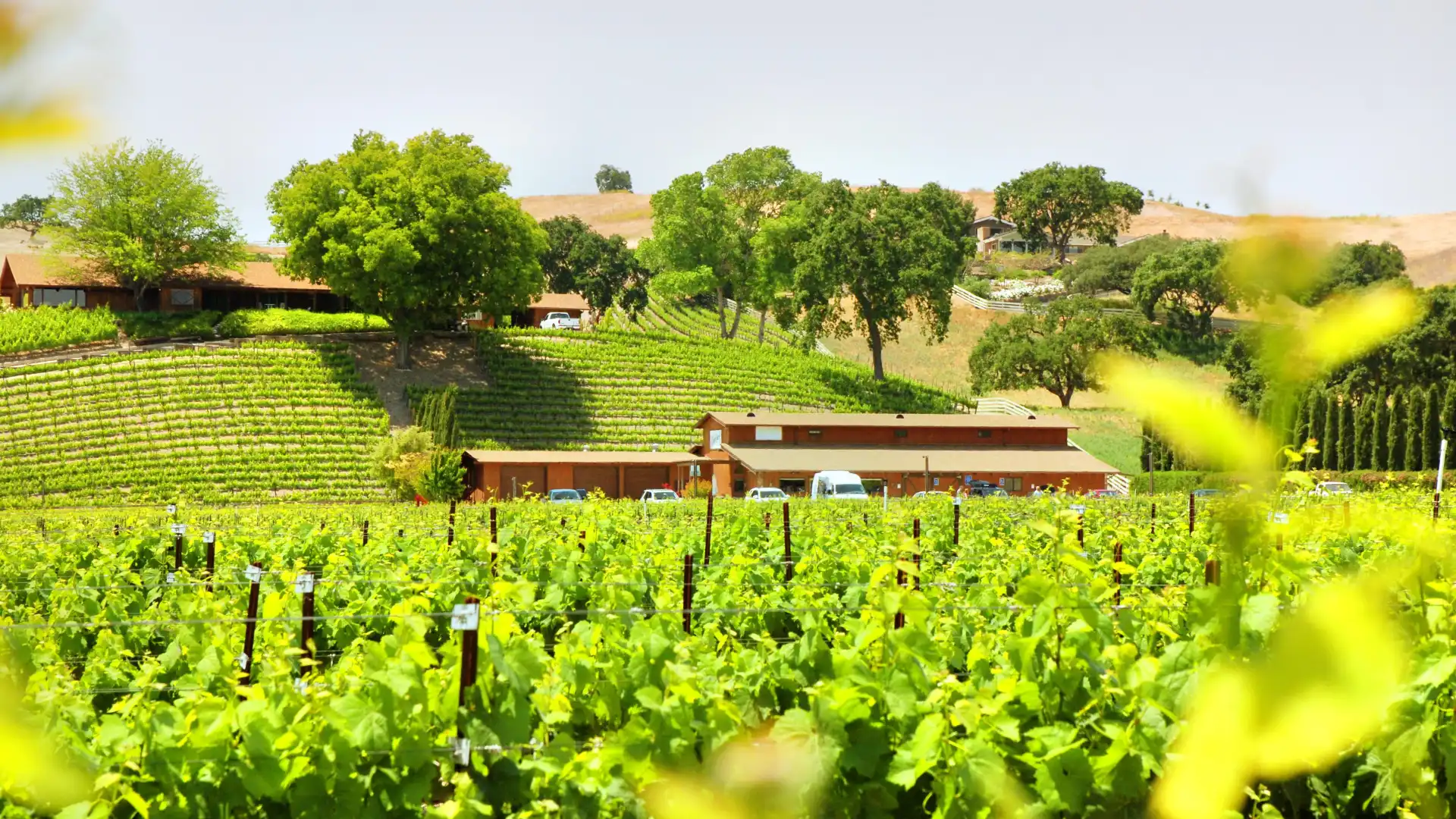 Hotels near Santa Ynez Valley