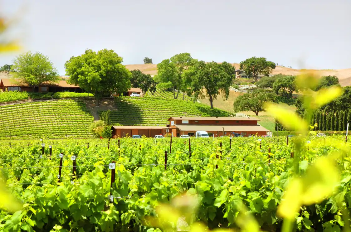Hotels near Santa Ynez Valley