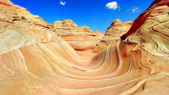 Coconino County