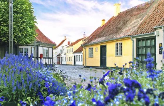 安徒生博物館門票成人