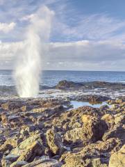 Spouting Horn