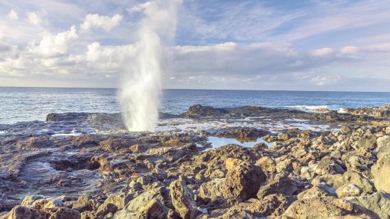 Spouting Horn