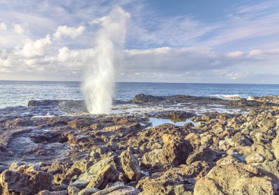 Spouting Horn