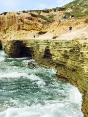 Cabrillo Tide Pools