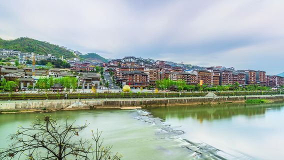 仁懷日遊