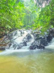 Templer Park