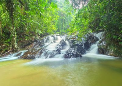 Templer Park