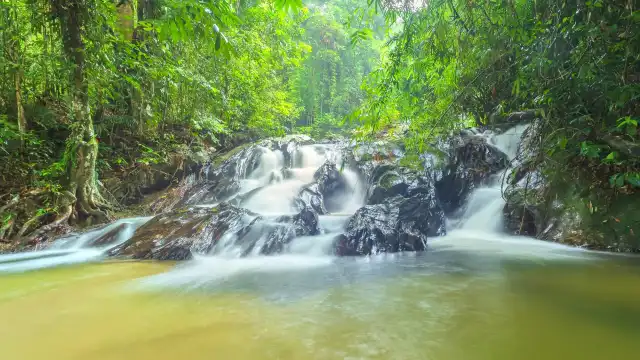 Hotels near Templer Park