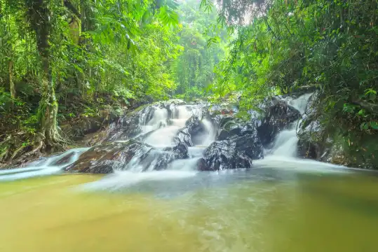 Hotels near Templer Park