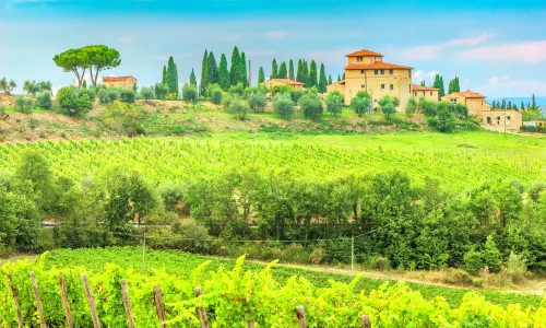 Chianti