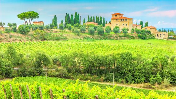 Greve in Chianti