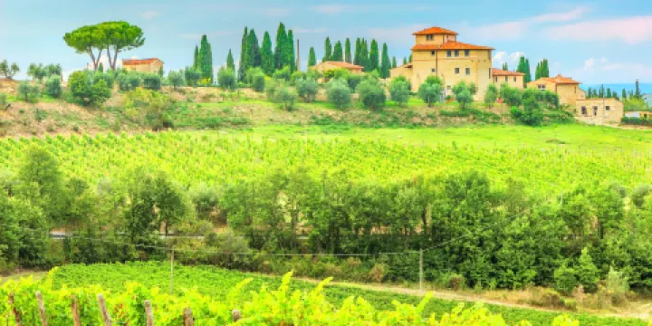 格雷韋伊恩基亞恩蒂