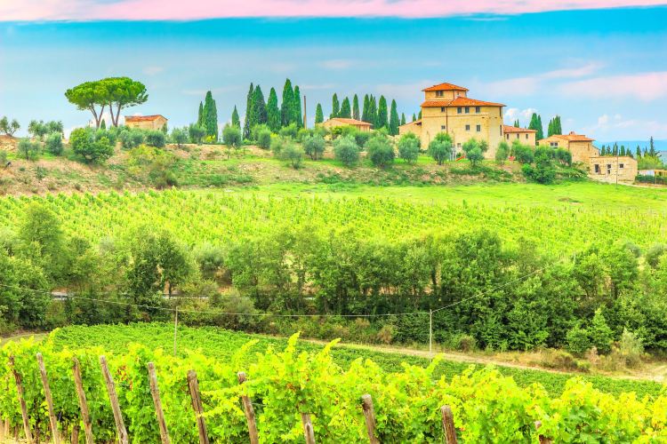 Greve in Chianti