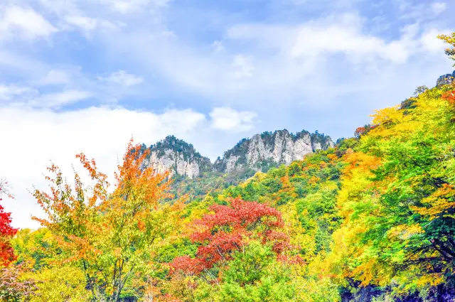 Fall Foliage Sightseeing in Shennongjia