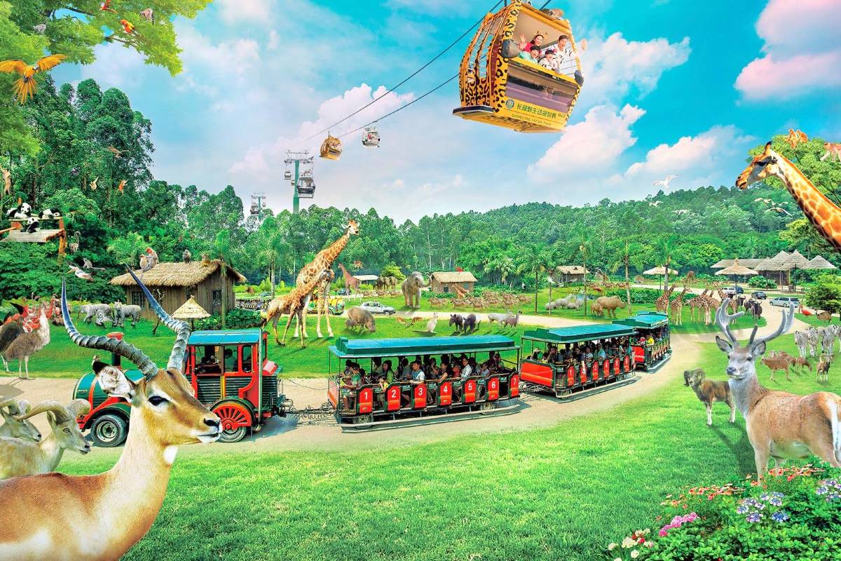 7. Chimelong Resort Area-Family-Friendly Areas