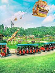 Chimelong Safari Park