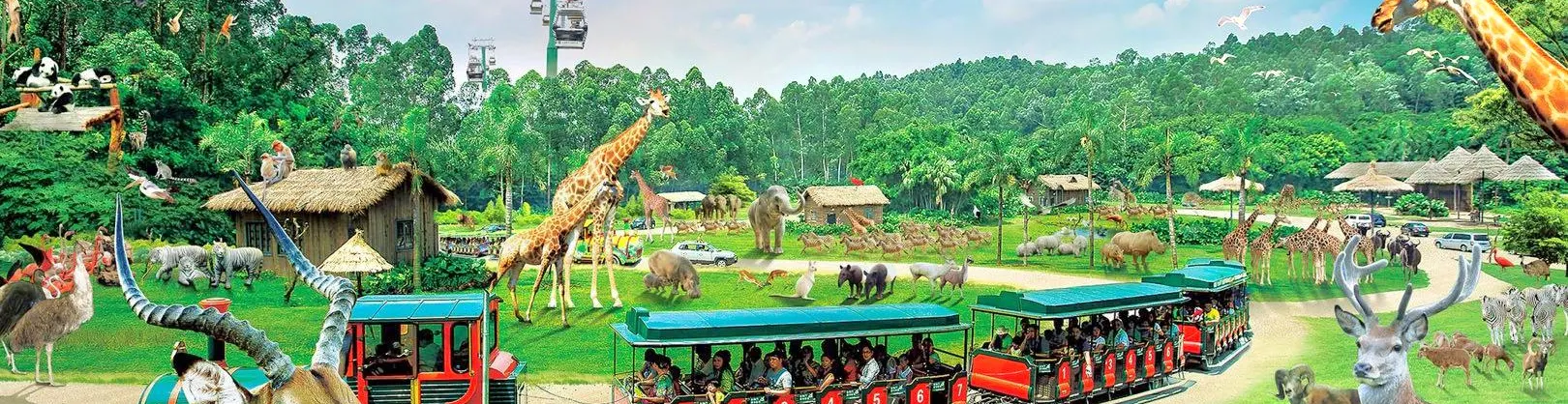 Family-Friendly Attractions