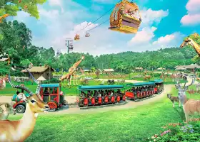 Chimelong Safari Park