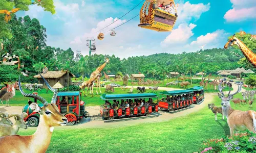 Chimelong Safari Park