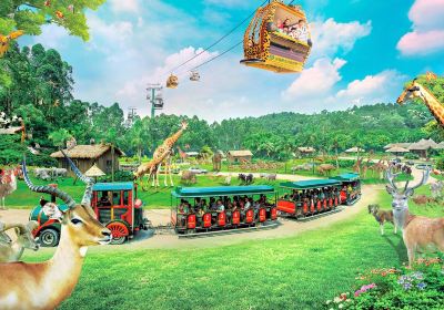 Chimelong Safari Park