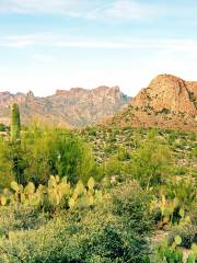 Arizona-Sonora Desert Museum