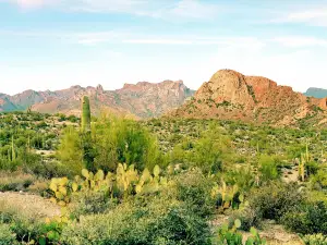 Arizona-Sonora Desert Museum