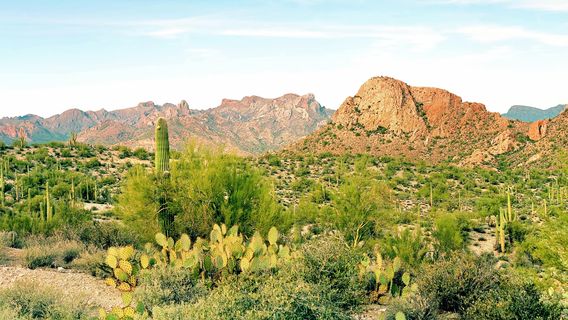 Arizona-Sonora Desert Museum