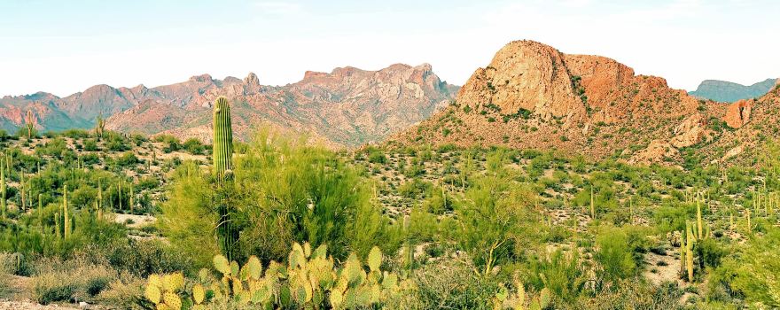 Arizona-Sonora Desert Museum