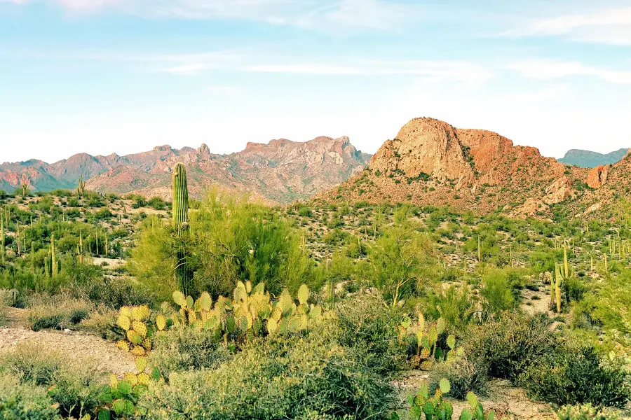 Arizona-Sonora Desert Museum