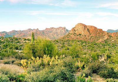 Museo del Desierto de Arizona-Sonora