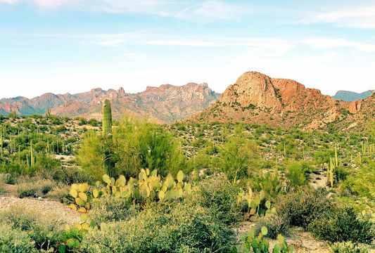 Arizona-Sonora Desert Museum