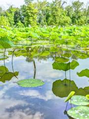 Kenilworth Park & Aquatic Gardens