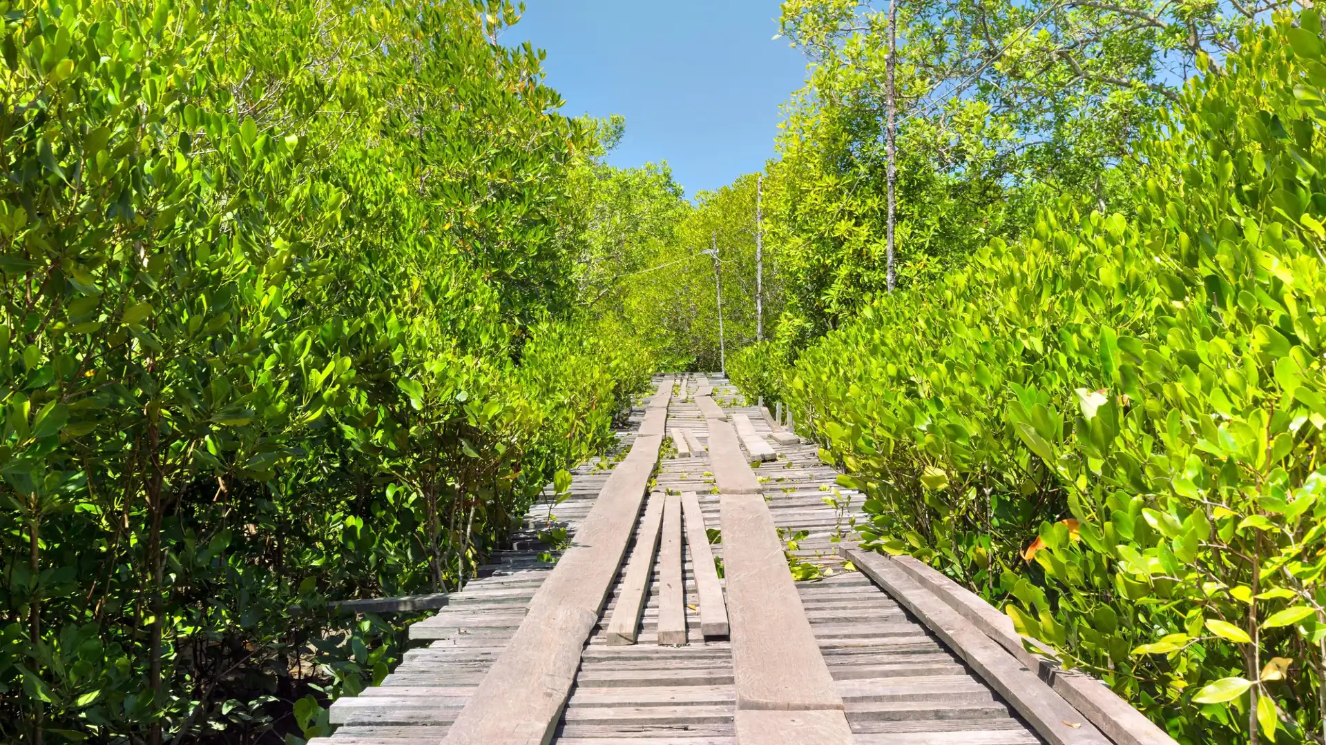 Hotels near Thung Yee Pheng Mangrove Forest